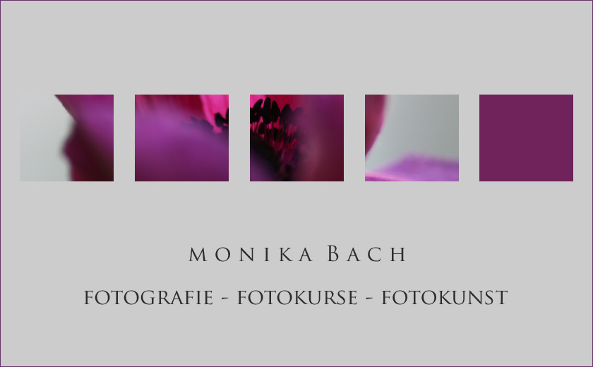 Fotogafie Fotokurse Fotokunst Monika Bach